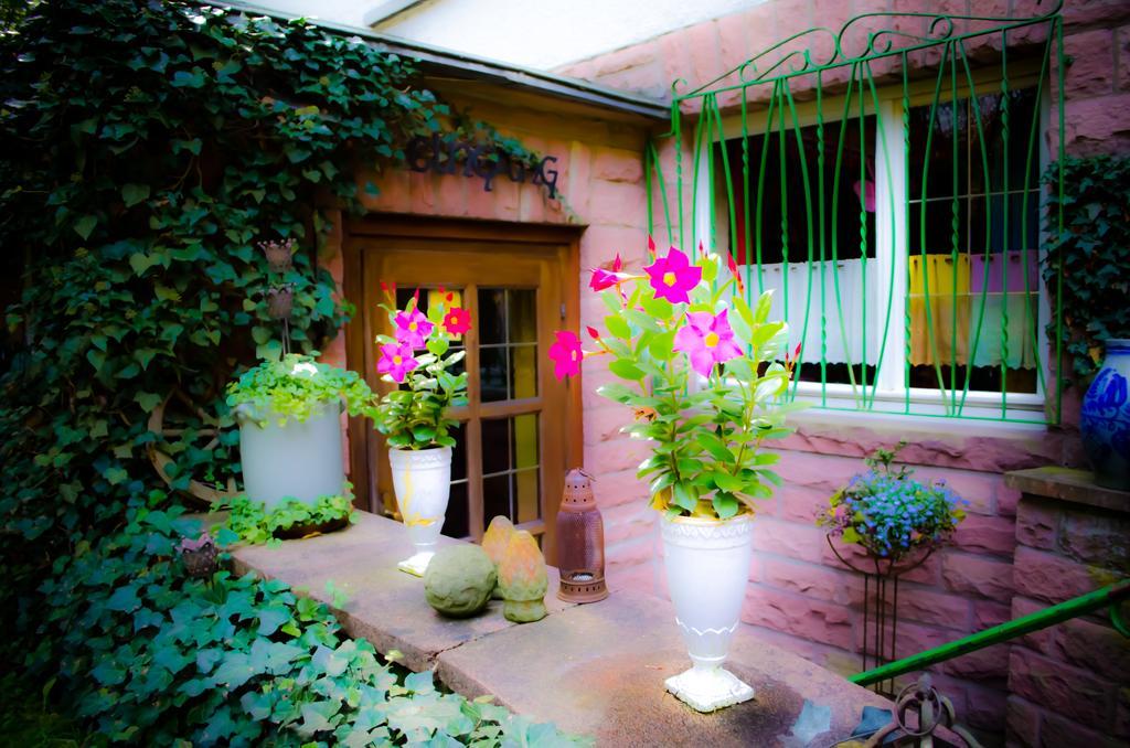 Bed and Breakfast Haus Helvetia Bad Orb Exterior foto
